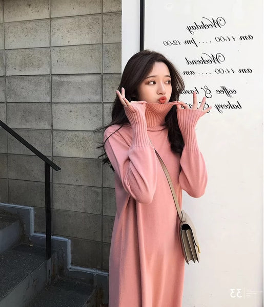 Turtleneck Sweater Long Sleeve Dress